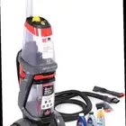 مكنسة بيسيل