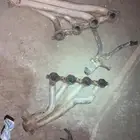 هيدرز جمس