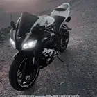 دباب
