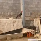 ديك سندي
