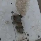 مكيف اسبليت مع الجرم موجود