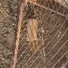 قفص شبك دجاج