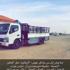 دينا ونش