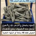 عود البنتلي نخب اول بيور
