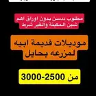 مطلوب ددسن