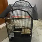 قفص كبير للبيع