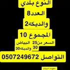 دجاج