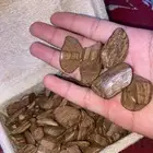 عود مروكي