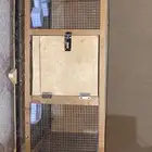 شبك