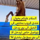 قروب مختص في الخيل