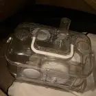 قفص
