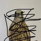 بأشق البيع يعلف على اليد
