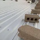 شينكو للبيع