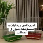 قفص ببغاوات و مستلزمات طيور و عصافير