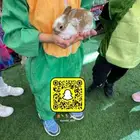 ايجار حديقه حيوانات فعاليات ومناسبات