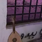 عود للبيع