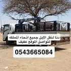 دنا لنقل الابل