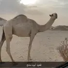 الرقم لتواصل