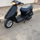 دباب بطه