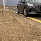 اكسنت مخزن شبه اصفار