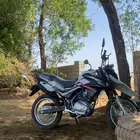 دباب هاوجو