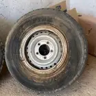 جنوط شنبر للبيع