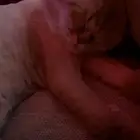 قط ل التبني مع اليتر بوكس وأكله والرمل