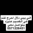 دلال احرج غنم