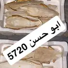 حبار فلين