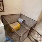 شبك نضيف على السوم