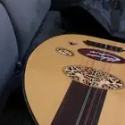 عود بحريني