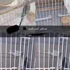 ثلاث بادجي