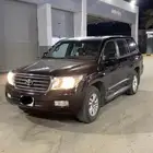 جكسار موديل 2010