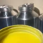 سمن غنم بري