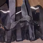 قطط للتبني