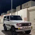 ربع حكومي