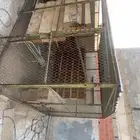 عشة حمام للبيع