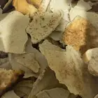 كيس مليان خبز ناشف لي أصحاب الحلال مكسر ونظيف