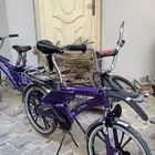 سيكل رامبو للبيع