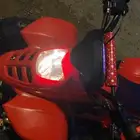دباب
