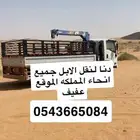 دنا لنقل الابل
