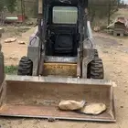 بوبكات امريكي نيهولند