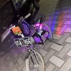 رامبو مع مرتبه واكله المرتبه نادره يا رجال انا صامل تبيه اب