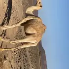 تبوك