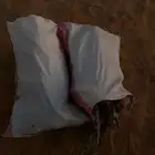 سلام عليكم الي يبي اخياش أ. ر. ط. ا.