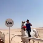 حصان شعبي ام شعبي أب عربي حصان سبوق محقق العمر 6