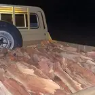 حوض شاص طيب
