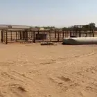 الدرف البل بعضها شبه جديد وبعضها مستعمل. ومعلف حديد .ومطاره