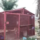 شبك حديد للبيع
