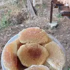 للبيع عسل سدر